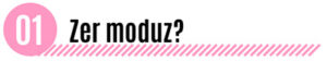 Zer moduz?